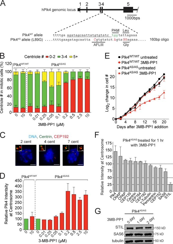 https://cdn.ncbi.nlm.nih.gov/pmc/blobs/83e9/4477857/e8c0426a7c7b/JCB_201502088_Fig1.jpg