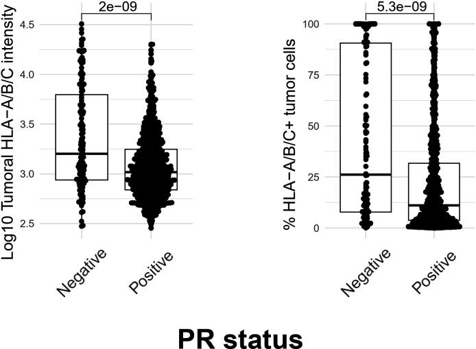 https://cdn.ncbi.nlm.nih.gov/pmc/blobs/83ee/11927445/8733fe211c53/jitc-13-3-g008.jpg