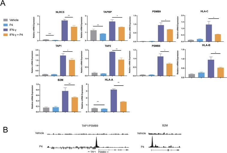 https://cdn.ncbi.nlm.nih.gov/pmc/blobs/83ee/11927445/c180bdeff7da/jitc-13-3-g001.jpg