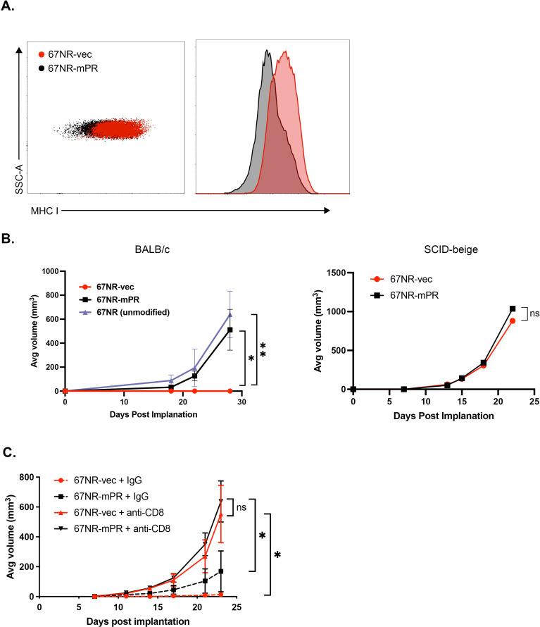https://cdn.ncbi.nlm.nih.gov/pmc/blobs/83ee/11927445/ea1139917cdc/jitc-13-3-g005.jpg