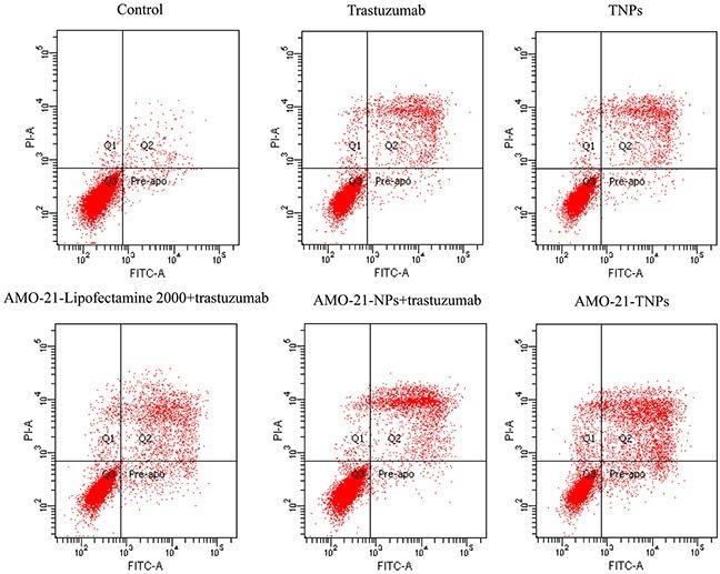 https://cdn.ncbi.nlm.nih.gov/pmc/blobs/83ee/5620166/c141be534a87/oncotarget-08-67189-g005.jpg