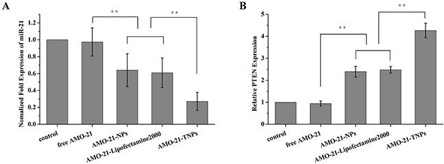 https://cdn.ncbi.nlm.nih.gov/pmc/blobs/83ee/5620166/f7a5d7749961/oncotarget-08-67189-g006.jpg