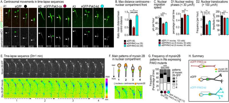 https://cdn.ncbi.nlm.nih.gov/pmc/blobs/83ef/11412908/6be564e6b1b5/41380_2024_2483_Fig2_HTML.jpg