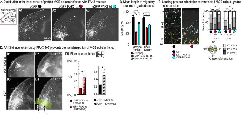 https://cdn.ncbi.nlm.nih.gov/pmc/blobs/83ef/11412908/788f10f10edb/41380_2024_2483_Fig4_HTML.jpg
