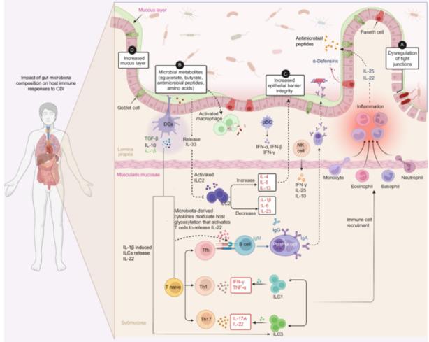 https://cdn.ncbi.nlm.nih.gov/pmc/blobs/83f2/11183162/8ad4e74e42dd/IMT2-3-e200-g001.jpg