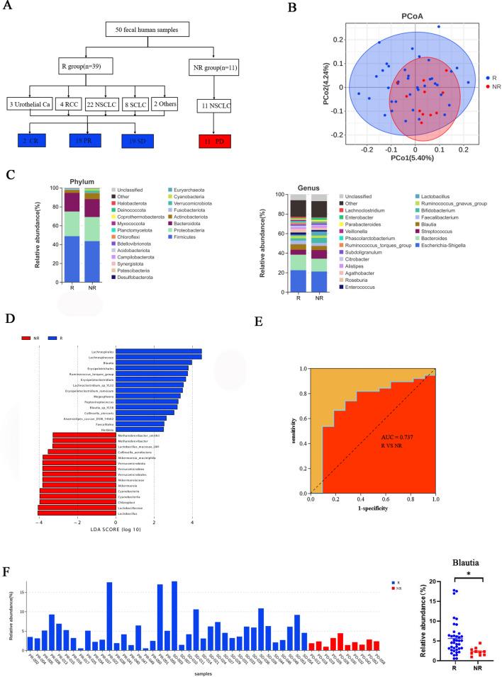 https://cdn.ncbi.nlm.nih.gov/pmc/blobs/83f4/11515615/1225a73f0c89/12967_2024_5762_Fig1_HTML.jpg