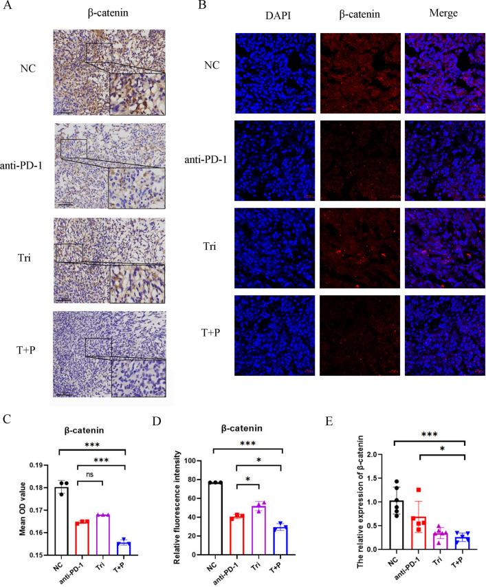 https://cdn.ncbi.nlm.nih.gov/pmc/blobs/83f4/11515615/1c51c8c7cc13/12967_2024_5762_Fig4_HTML.jpg