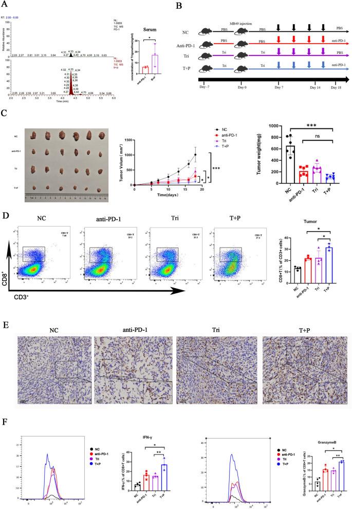 https://cdn.ncbi.nlm.nih.gov/pmc/blobs/83f4/11515615/8940ee28db20/12967_2024_5762_Fig3_HTML.jpg