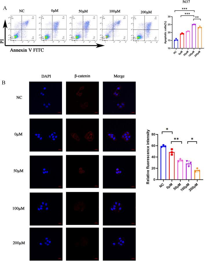 https://cdn.ncbi.nlm.nih.gov/pmc/blobs/83f4/11515615/9af16ea10f96/12967_2024_5762_Fig6_HTML.jpg