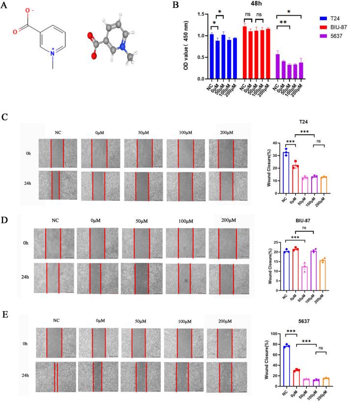 https://cdn.ncbi.nlm.nih.gov/pmc/blobs/83f4/11515615/ea3fd213bd6e/12967_2024_5762_Fig5_HTML.jpg