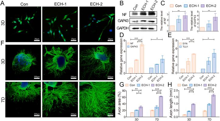 https://cdn.ncbi.nlm.nih.gov/pmc/blobs/83f4/8076708/4884727291e0/gr3.jpg