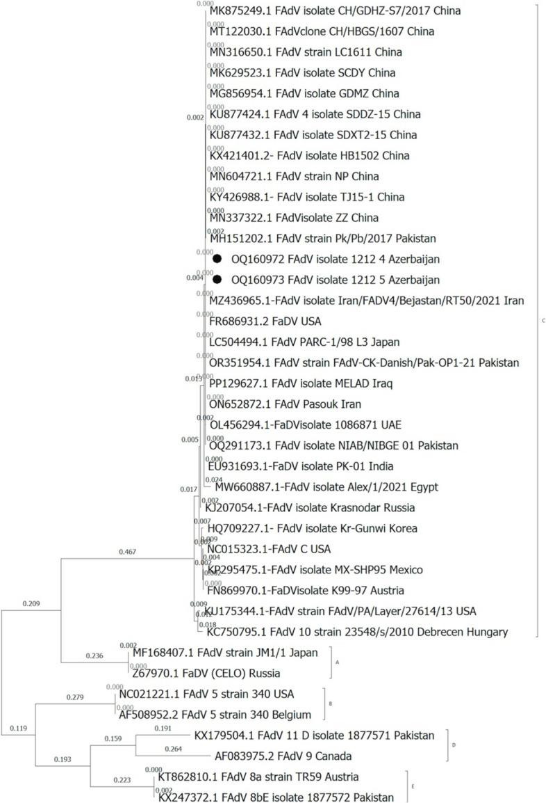https://cdn.ncbi.nlm.nih.gov/pmc/blobs/83f6/11157802/00ddf5181eef/12917_2024_4081_Fig2_HTML.jpg