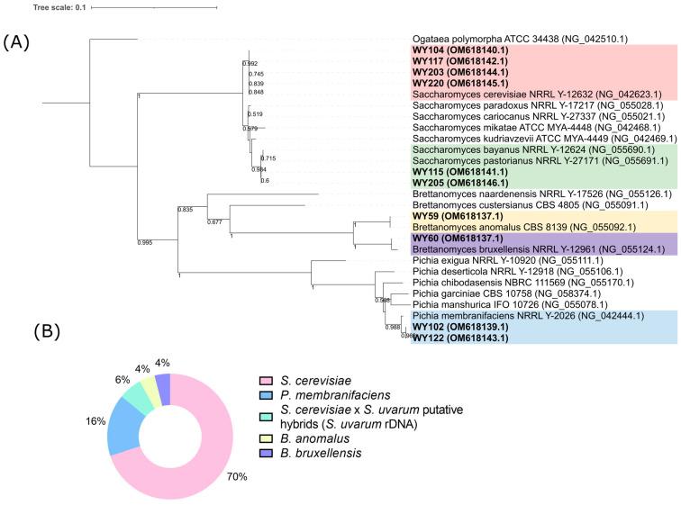 https://cdn.ncbi.nlm.nih.gov/pmc/blobs/83f7/10537276/0ccd37d7172b/microorganisms-11-02138-g003.jpg