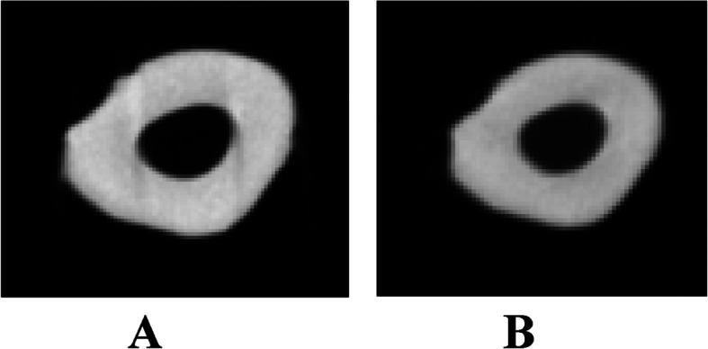 https://cdn.ncbi.nlm.nih.gov/pmc/blobs/83f8/12107985/b4ebc8016603/12903_2025_6208_Fig1_HTML.jpg