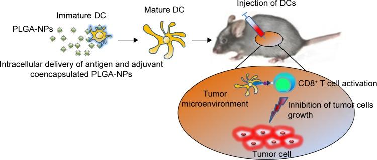 https://cdn.ncbi.nlm.nih.gov/pmc/blobs/83f8/5098754/4521b05b29f1/ijn-11-5729Fig1.jpg
