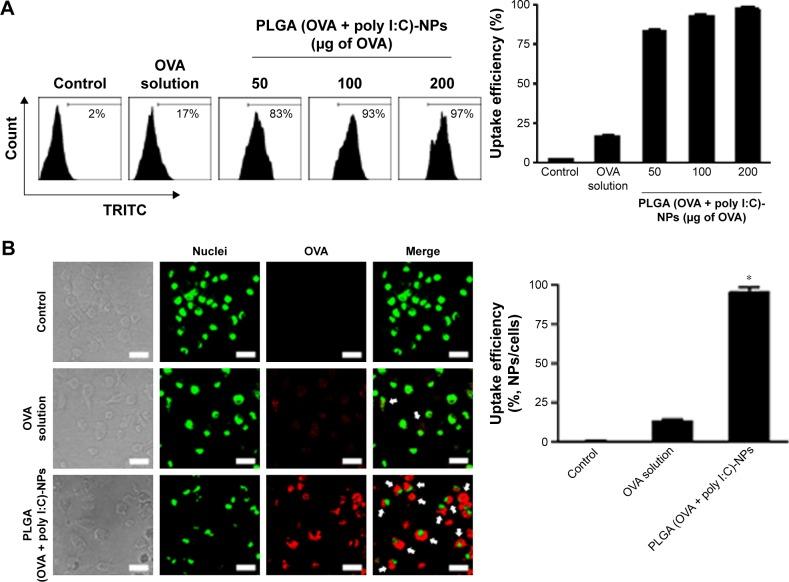https://cdn.ncbi.nlm.nih.gov/pmc/blobs/83f8/5098754/48e070f5a135/ijn-11-5729Fig3.jpg