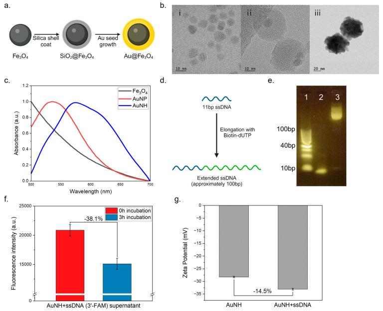 https://cdn.ncbi.nlm.nih.gov/pmc/blobs/83f9/10812942/f106df521624/biosensors-14-00026-g002.jpg