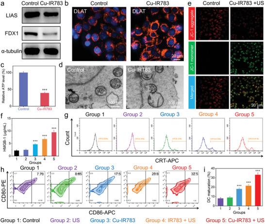 https://cdn.ncbi.nlm.nih.gov/pmc/blobs/83fb/11578373/2c6db6f5f153/ADVS-11-2407196-g003.jpg