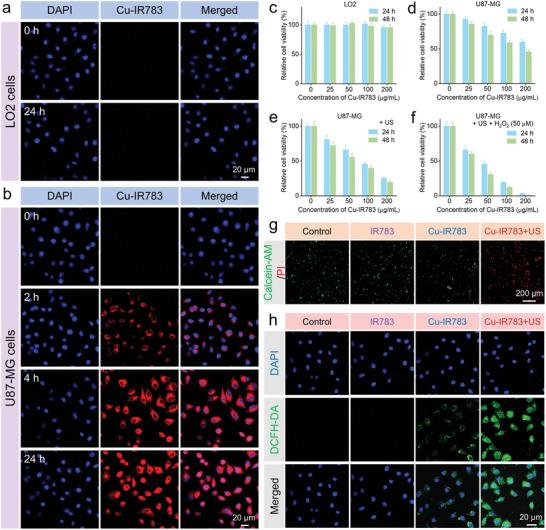 https://cdn.ncbi.nlm.nih.gov/pmc/blobs/83fb/11578373/d2c185fb41bf/ADVS-11-2407196-g004.jpg