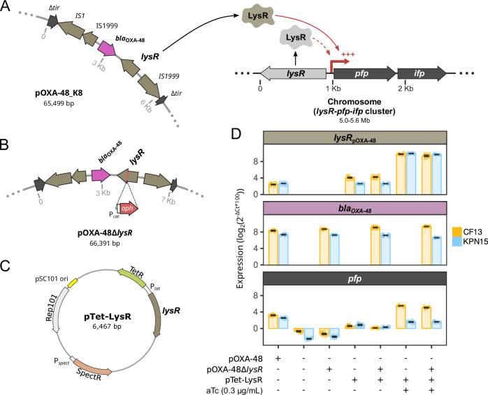https://cdn.ncbi.nlm.nih.gov/pmc/blobs/83fb/11686079/58ea05af044b/41467_2024_55169_Fig4_HTML.jpg