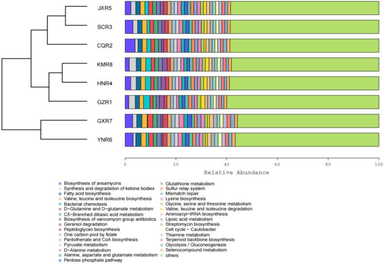https://cdn.ncbi.nlm.nih.gov/pmc/blobs/83fb/12319093/e895aa862ff7/41598_2025_13691_Fig6_HTML.jpg