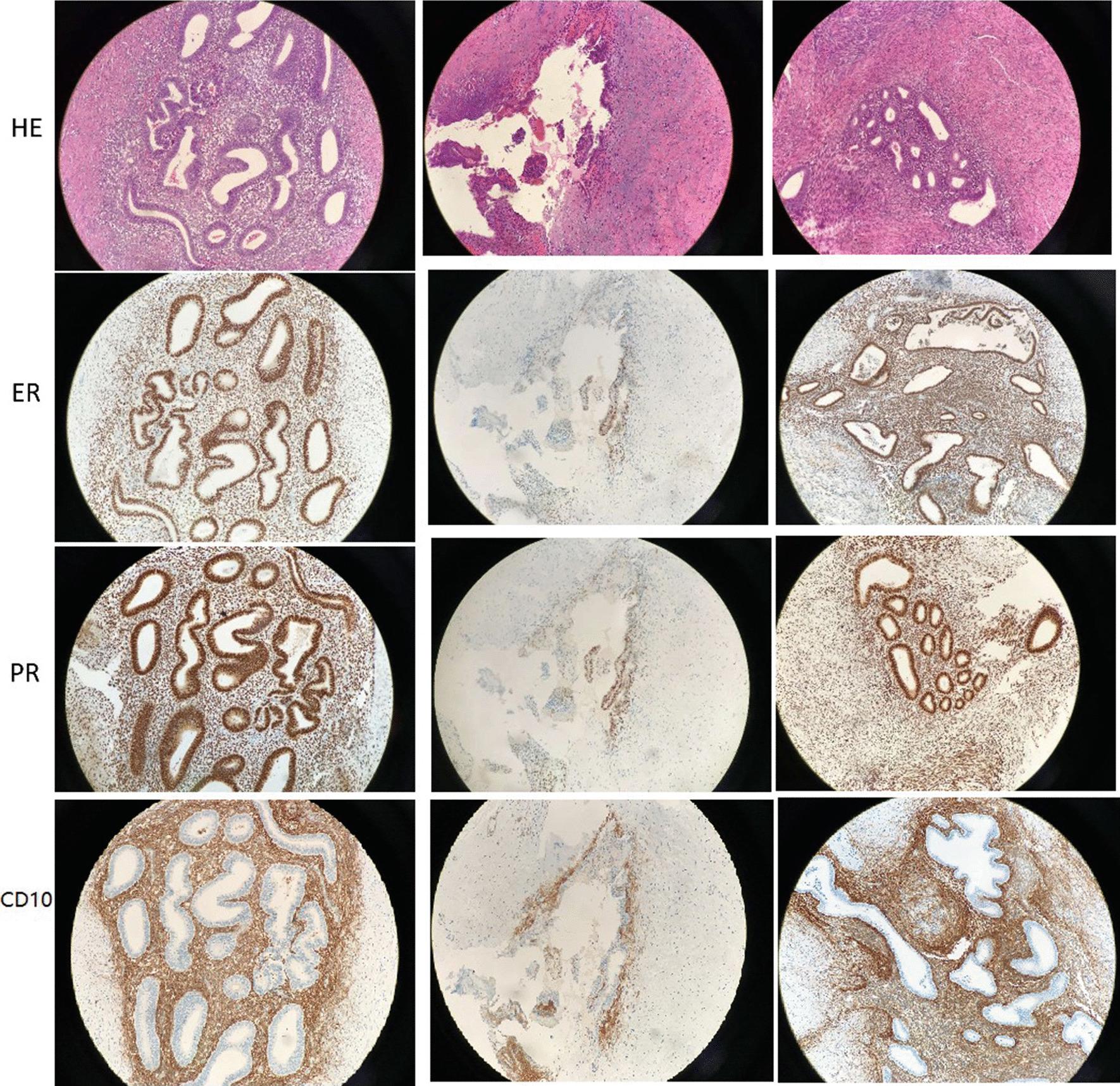 https://cdn.ncbi.nlm.nih.gov/pmc/blobs/83fd/7927249/4af5f6faf10d/12905_2021_1235_Fig4_HTML.jpg