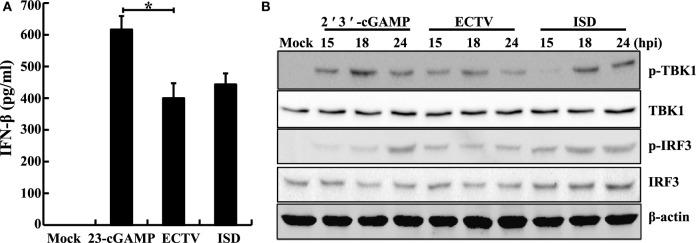 https://cdn.ncbi.nlm.nih.gov/pmc/blobs/83fe/6010520/935508a6af29/fimmu-09-01297-g003.jpg