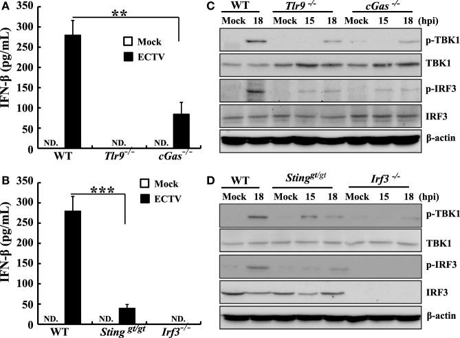 https://cdn.ncbi.nlm.nih.gov/pmc/blobs/83fe/6010520/94412eae8c33/fimmu-09-01297-g005.jpg