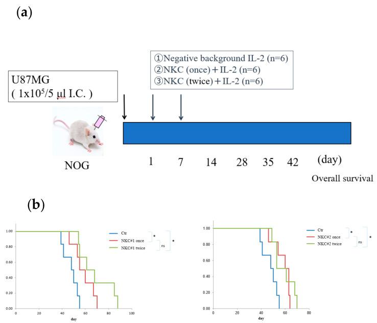 https://cdn.ncbi.nlm.nih.gov/pmc/blobs/83ff/10889440/94dff41958e6/ijms-25-02435-g002a.jpg