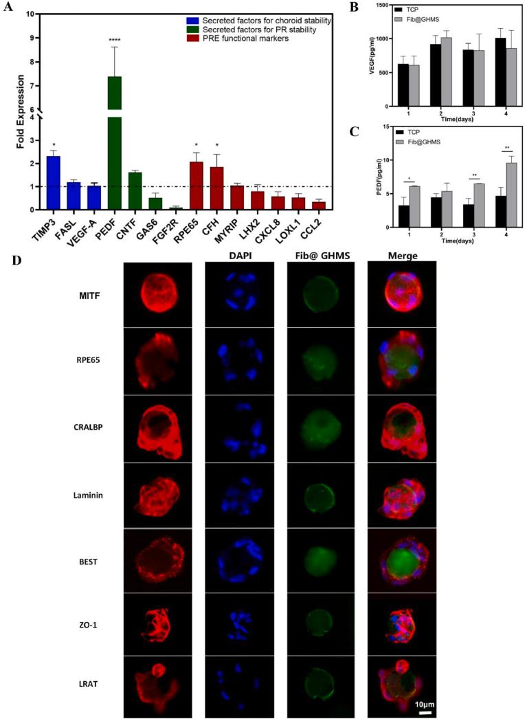 https://cdn.ncbi.nlm.nih.gov/pmc/blobs/83ff/12163166/3c366ca62ca5/gr5.jpg