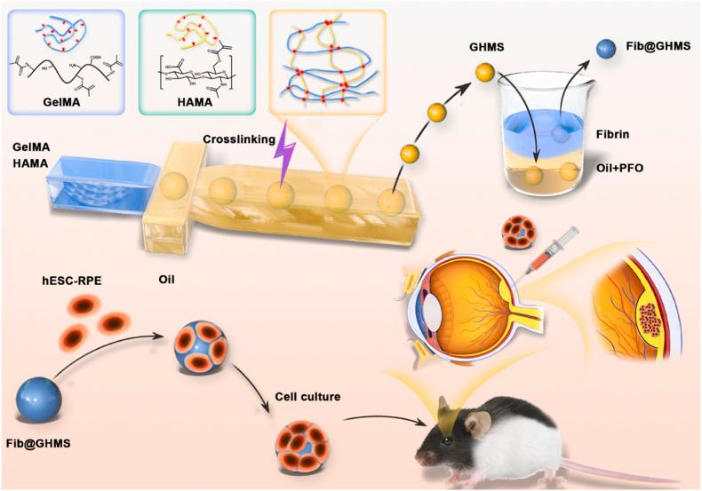 https://cdn.ncbi.nlm.nih.gov/pmc/blobs/83ff/12163166/ce865b4bed73/gr1.jpg