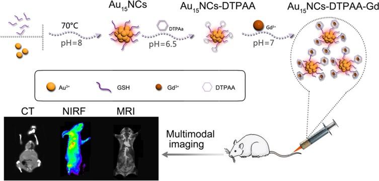 https://cdn.ncbi.nlm.nih.gov/pmc/blobs/8402/6969685/becfd17dd041/IJN-15-227-g0002.jpg