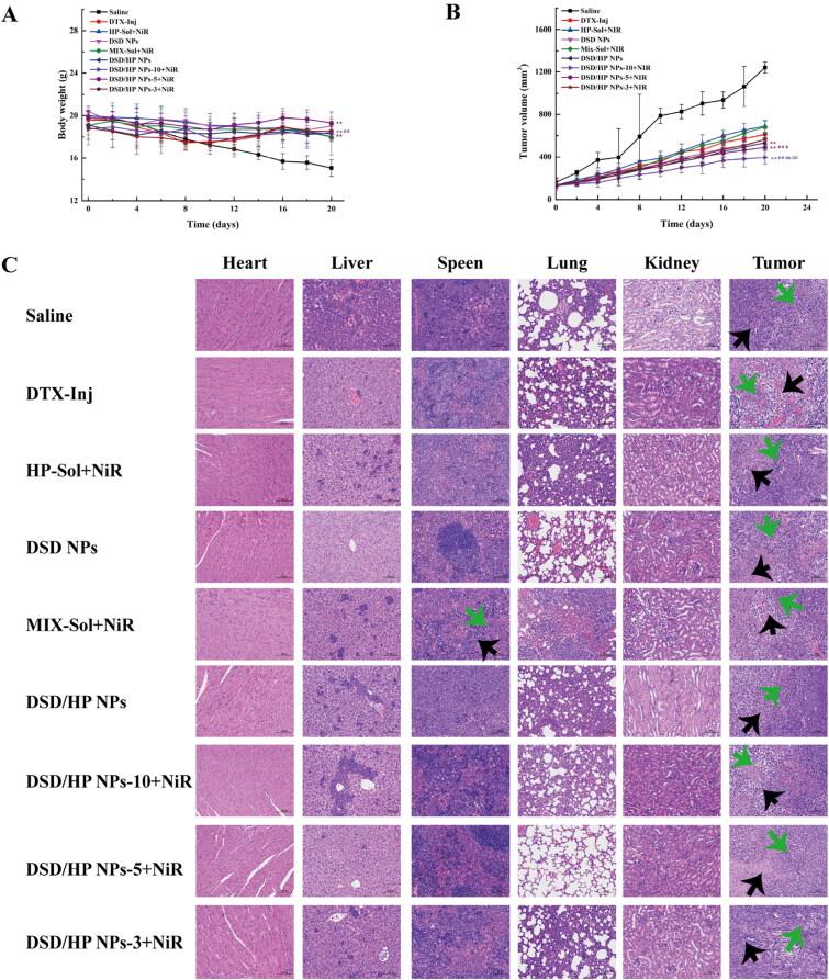 https://cdn.ncbi.nlm.nih.gov/pmc/blobs/8404/9848415/595cb29d6b9e/IDRD_A_2147280_F0006_C.jpg