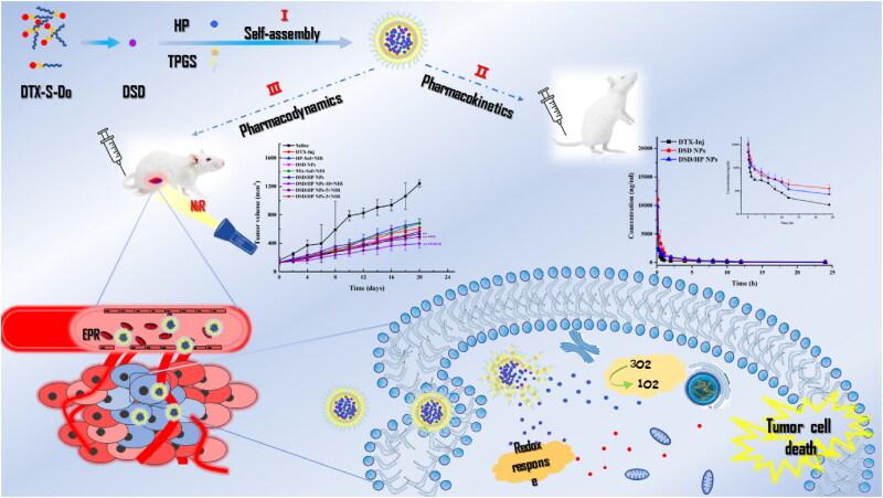 https://cdn.ncbi.nlm.nih.gov/pmc/blobs/8404/9848415/e80bf9dce446/IDRD_A_2147280_SCH0001_C.jpg