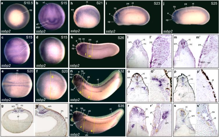 https://cdn.ncbi.nlm.nih.gov/pmc/blobs/8405/10551014/d9d9ffd8c446/41598_2023_43662_Fig1_HTML.jpg