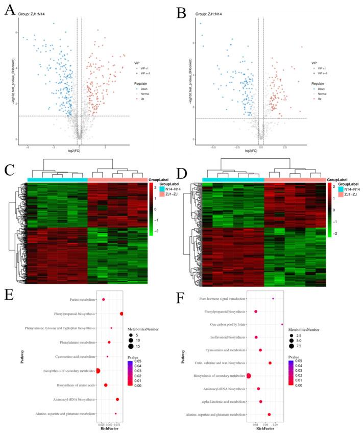 https://cdn.ncbi.nlm.nih.gov/pmc/blobs/8406/11678587/4dc091a33798/ijms-25-13483-g005.jpg