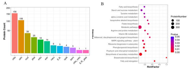 https://cdn.ncbi.nlm.nih.gov/pmc/blobs/8406/11678587/f4b5fda0bb36/ijms-25-13483-g004.jpg