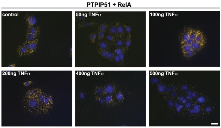 https://cdn.ncbi.nlm.nih.gov/pmc/blobs/840a/4496682/cc71486e9902/biomolecules-05-00485-g005.jpg