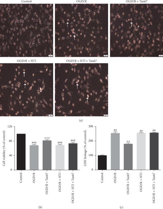 https://cdn.ncbi.nlm.nih.gov/pmc/blobs/840a/7102411/ef58290c034e/ECAM2020-3495836.001.jpg