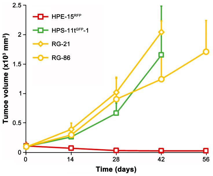 https://cdn.ncbi.nlm.nih.gov/pmc/blobs/840c/10931070/d7836609d3ed/cancers-16-00951-g009.jpg