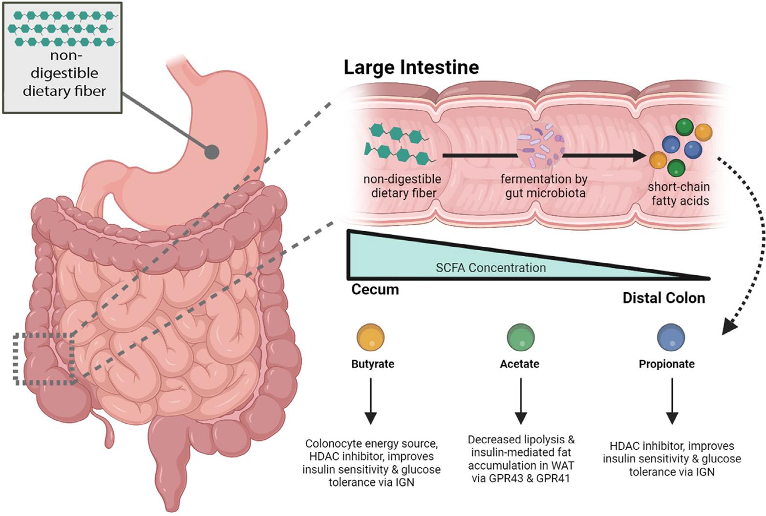 https://cdn.ncbi.nlm.nih.gov/pmc/blobs/840e/10205675/749a7128a9e1/nihms-1896961-f0002.jpg