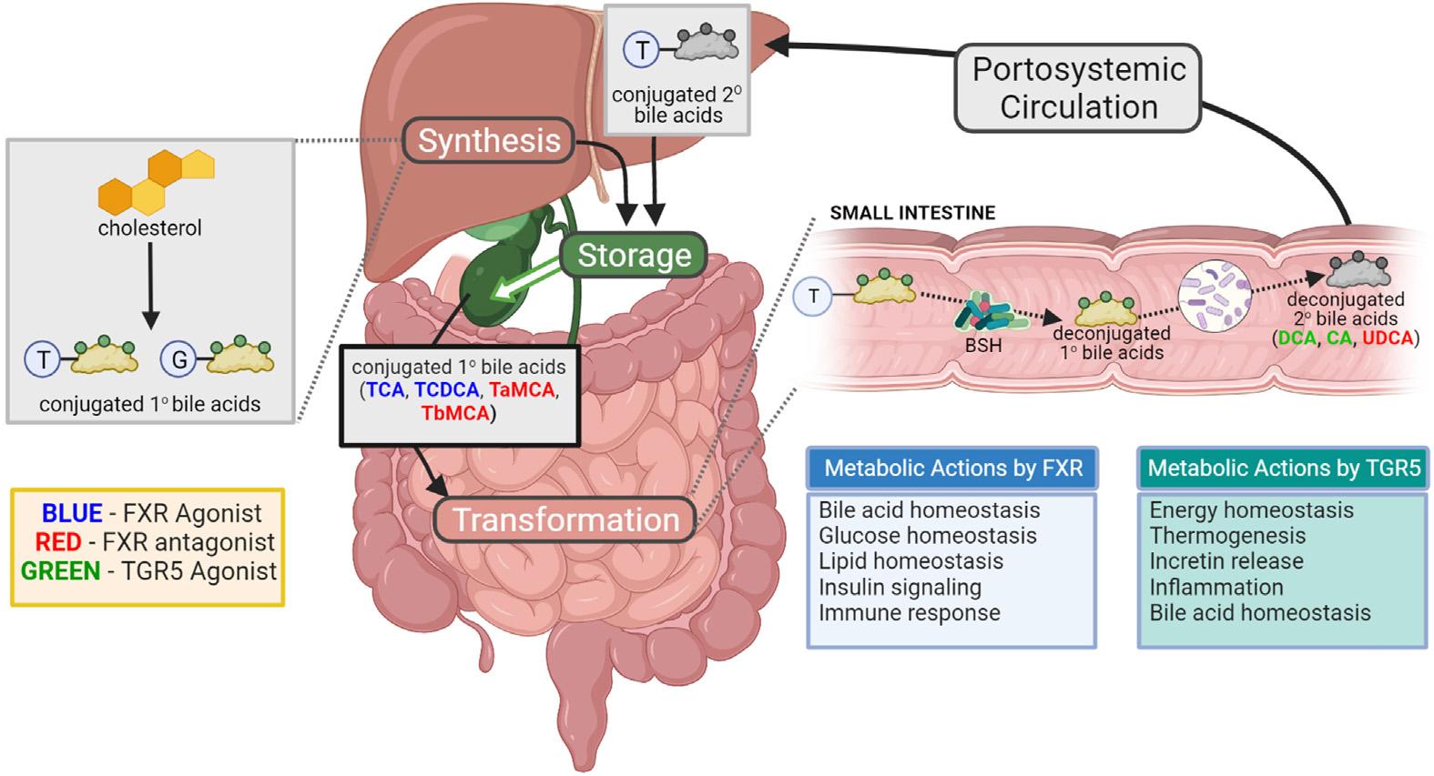 https://cdn.ncbi.nlm.nih.gov/pmc/blobs/840e/10205675/a139214fc142/nihms-1896961-f0001.jpg