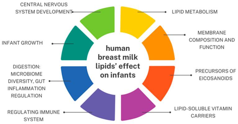 https://cdn.ncbi.nlm.nih.gov/pmc/blobs/840e/11124180/26744f3e7c11/nutrients-16-01487-g002.jpg