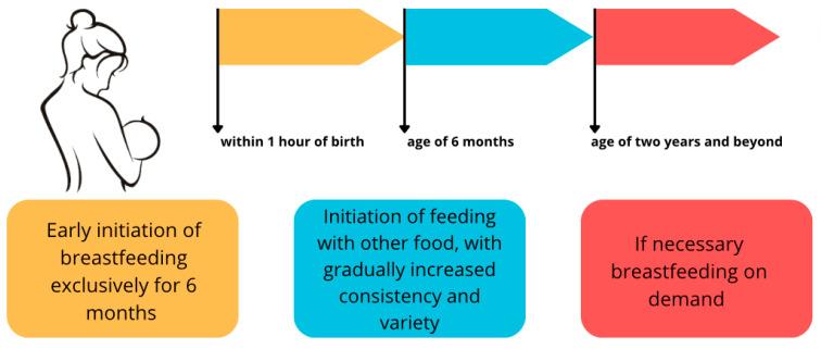 https://cdn.ncbi.nlm.nih.gov/pmc/blobs/840e/11124180/b0d708e89f72/nutrients-16-01487-g001.jpg