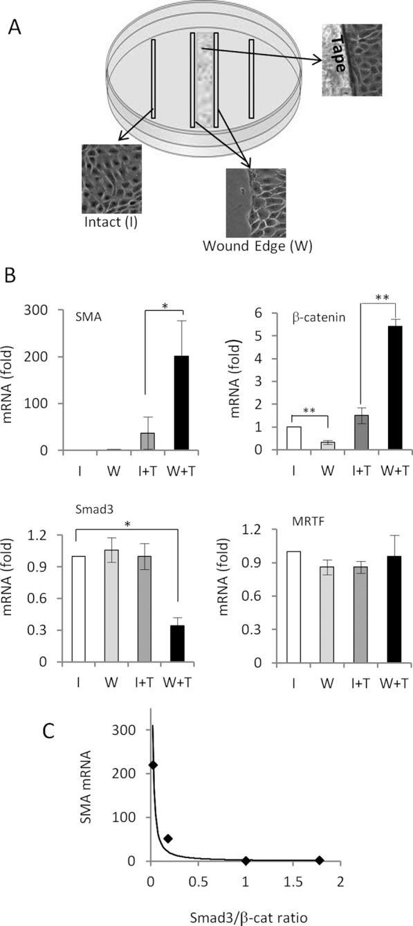 https://cdn.ncbi.nlm.nih.gov/pmc/blobs/840f/3814143/9ddf8cd06faa/3326fig1.jpg