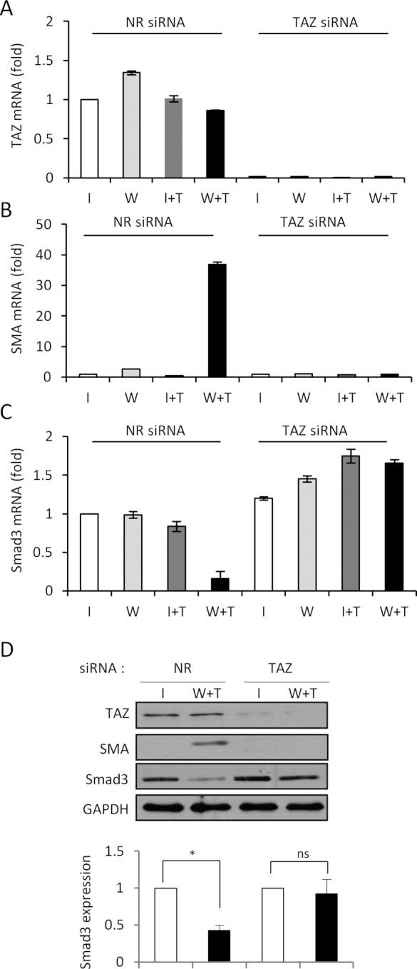 https://cdn.ncbi.nlm.nih.gov/pmc/blobs/840f/3814143/9f0ac92381be/3326fig6.jpg