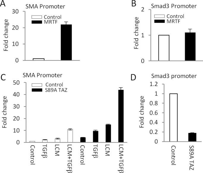 https://cdn.ncbi.nlm.nih.gov/pmc/blobs/840f/3814143/f1aa9acaac98/3326fig5.jpg