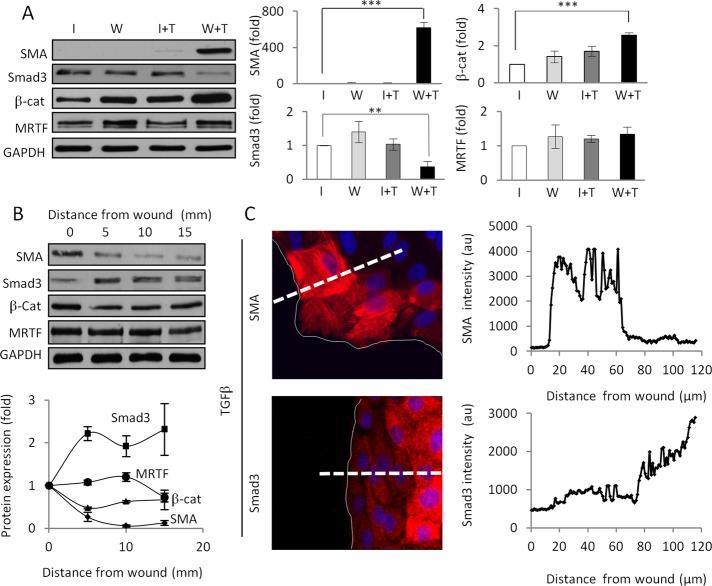 https://cdn.ncbi.nlm.nih.gov/pmc/blobs/840f/3814143/f385f0ebcab9/3326fig2.jpg