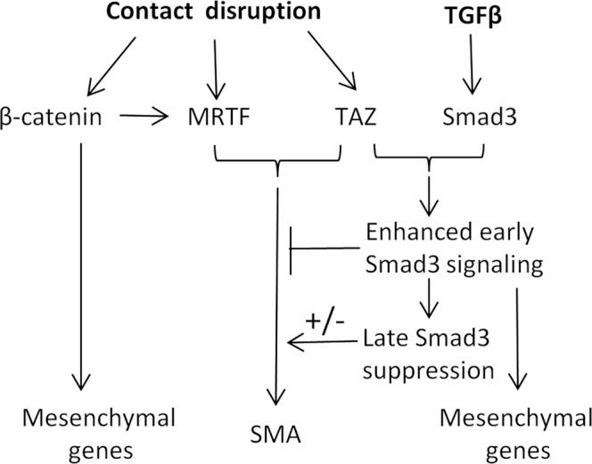 https://cdn.ncbi.nlm.nih.gov/pmc/blobs/840f/3814143/f9e4457acc1b/3326fig7.jpg