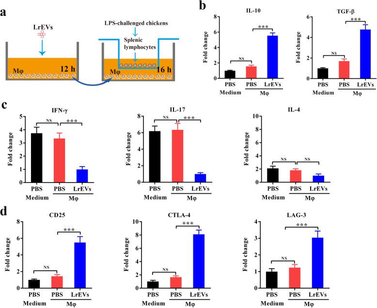 https://cdn.ncbi.nlm.nih.gov/pmc/blobs/8411/7888134/0e5eca52e159/40104_2020_532_Fig6_HTML.jpg